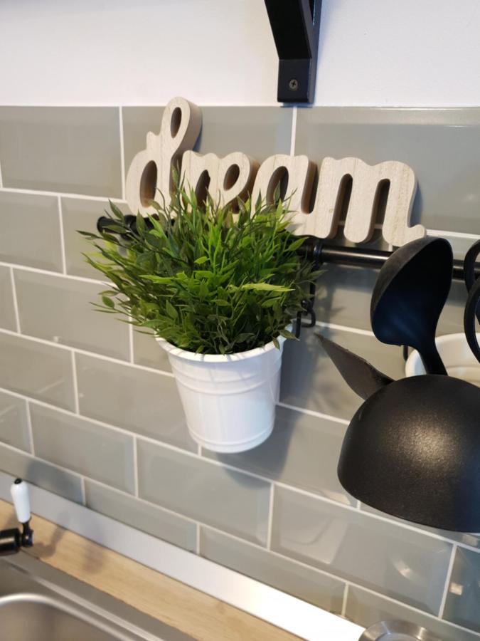 Dream Apartment Petroşani מראה חיצוני תמונה